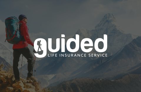 life insurance logo design